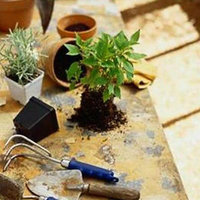 Gansbaai Build it Plus